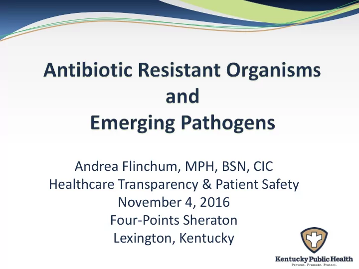 andrea flinchum mph bsn cic healthcare transparency