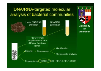 DNA/RNAtargeted molecular  analysis of bacterial communities  Lysis, DNA/RNA  DNA/RNA