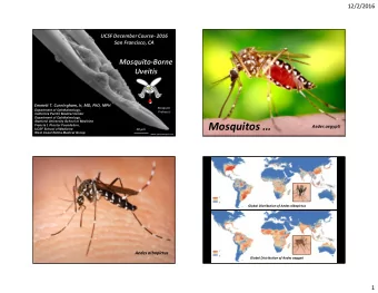 Mosquitos   Aedes aegypti  UCSF School of Medicine  10 m  West Coast Retina Medical Group