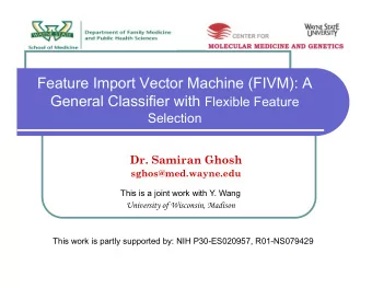 Feature Import Vector Machine (FIVM): A General Classifier with Flexible Feature  Selection