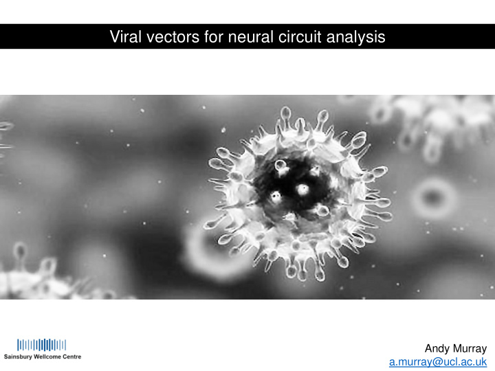 viral vectors for neural circuit analysis