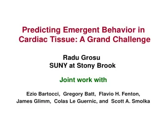 Predicting Emergent Behavior in  Cardiac Tissue: A Grand Challenge Radu Grosu  SUNY at Stony Brook