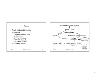 T cell mediated immunity   Overview   Antigen presenting cells  Blood
