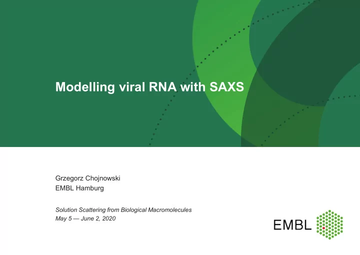 modelling viral rna with saxs