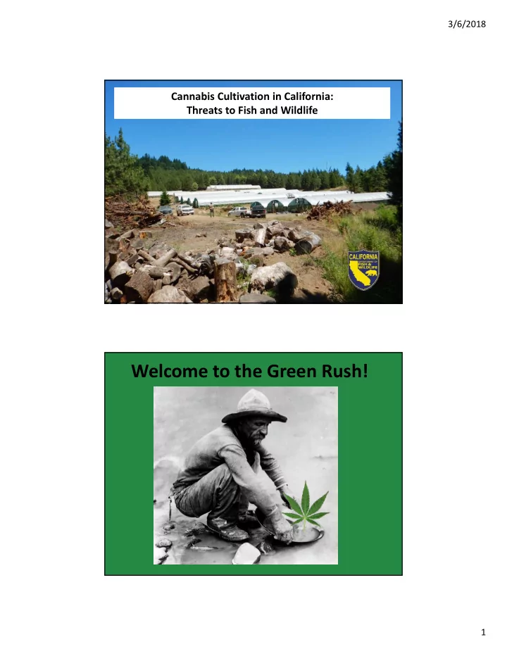 welcome to the green rush