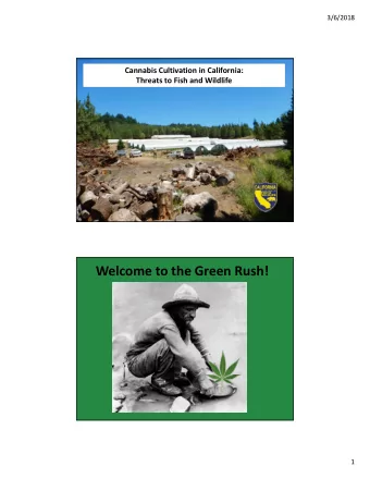 Welcome to the Green Rush!  1  3/6/2018 CDFW Watershed Enforcement/Cannabis Permitting  Teams