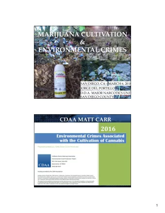 MARIJUANA CULTIVATION &amp; ENVIRONMENTAL CRIMES SAN DIEGO, CA  MARCH 6, 2018 JORGE DEL PORTILLO