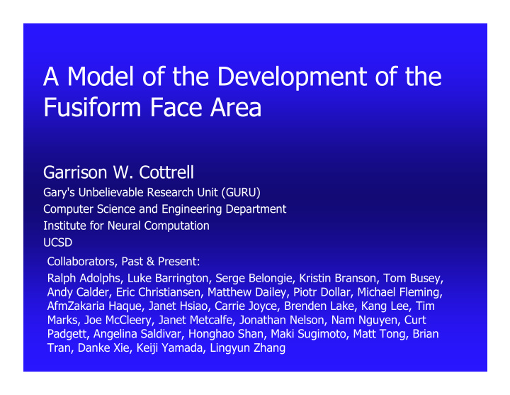a model of the development of the fusiform face area