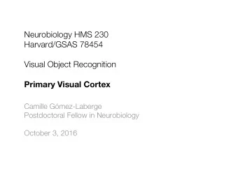 Neurobiology HMS 230  Harvard/GSAS 78454  Visual Object Recognition  Primary Visual Cortex  Camille