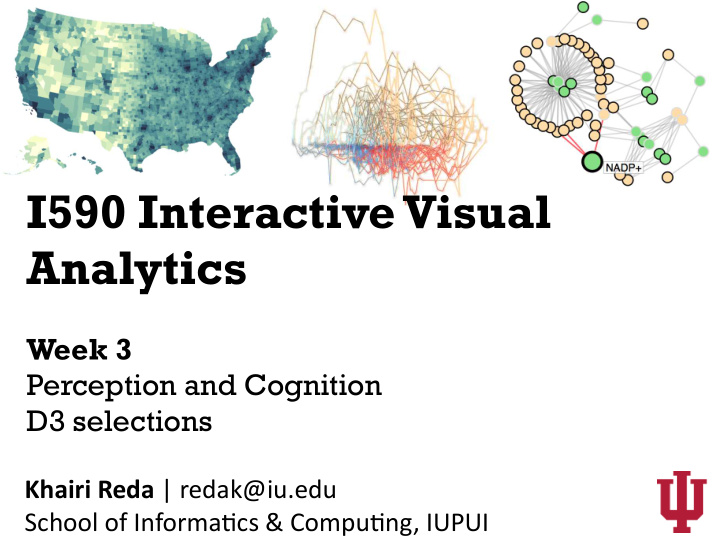 i590 interactive visual analytics