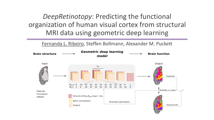 mri data using geometric deep learning