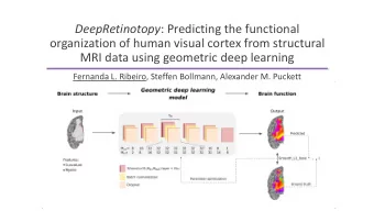 MRI data using geometric deep learning  Fernanda L. Ribeiro, Steffen Bollmann, Alexander M. Puckett