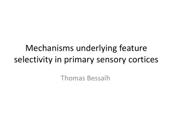 Mechanisms underlying feature  selectivity in primary sensory cortices  Thomas Bessah  In other