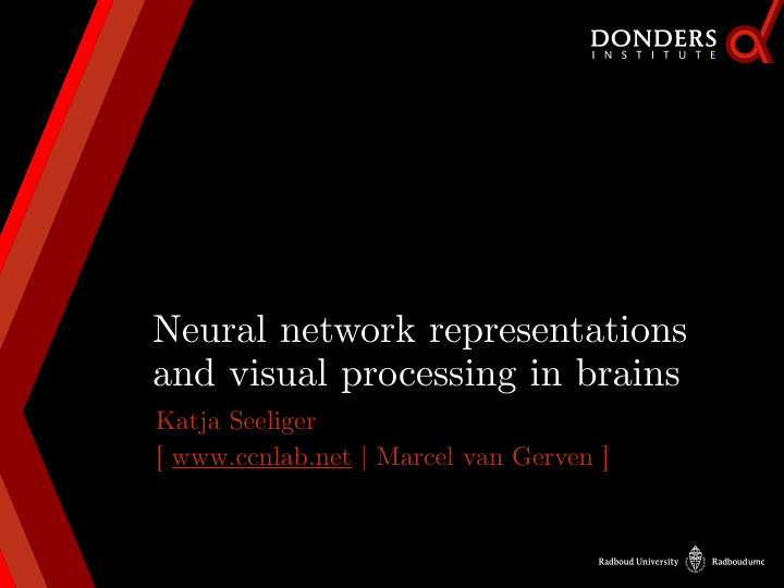 neural network representations and visual processing in