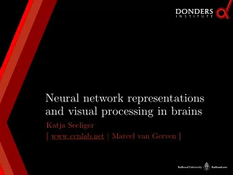 Neural network representations  and visual processing in brains  Katja Seeliger  [ www.ccnlab.net |