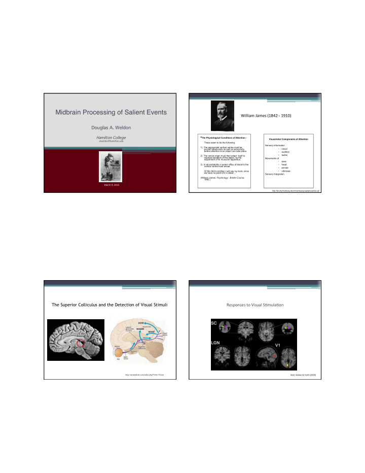 midbrain processing of salient events