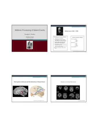 Midbrain Processing of Salient Events  William  James  (1842  -  1910)