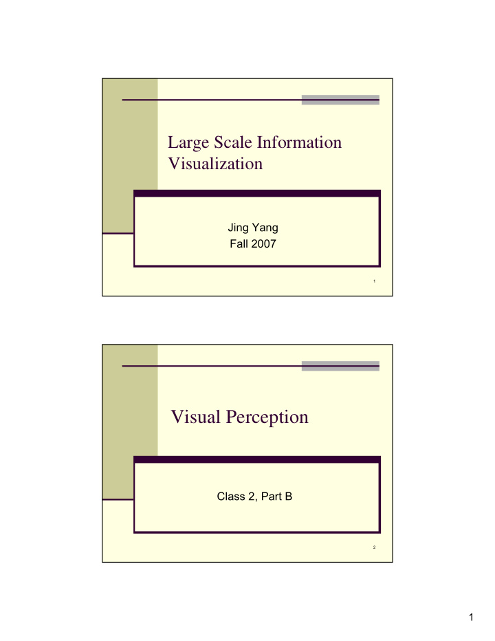 visual perception