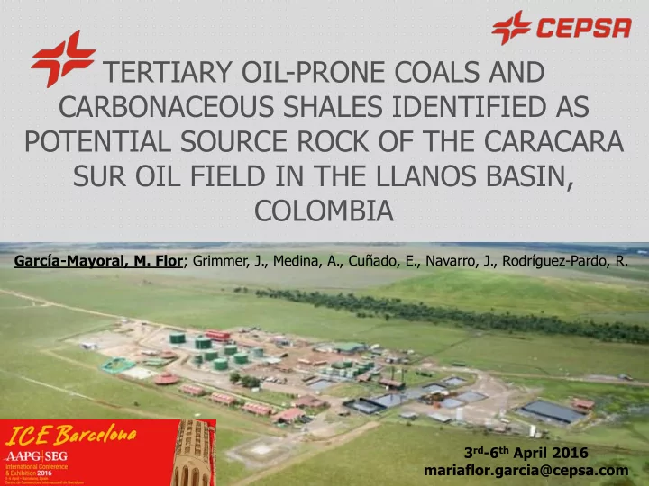 tertiary oil prone coals and