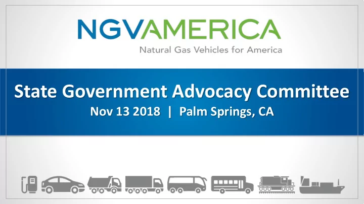 state government advocacy committee