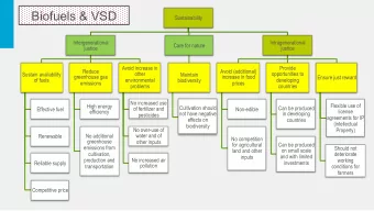 Biofuels &amp; VSD  Sustainability  Intergenerational  Intragenerational  Care for nature  justice