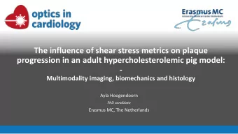 The influence of shear stress metrics on plaque  progression in an adult hypercholesterolemic pig