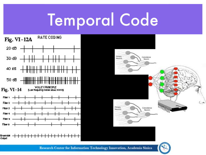 temporal code temporal code temporal code
