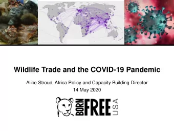 Wildlife Trade and the COVID-19 Pandemic  Alice Stroud, Africa Policy and Capacity Building