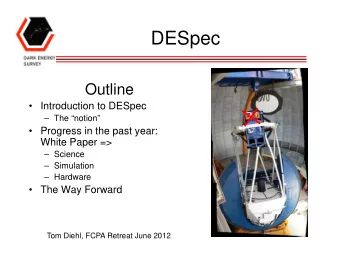 DESpec  Outline   Introduction to DESpec   The notion   Progress in the past year: