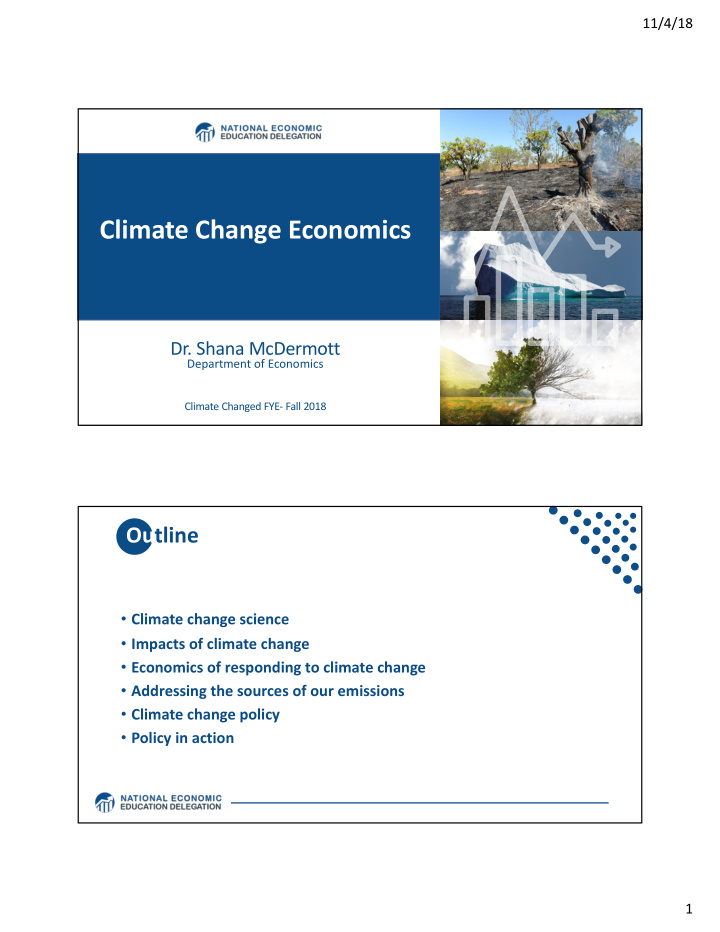 climate change economics