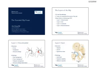 The Essential Hip Exam   Layer 1- Osteochondral   Layer 2- Inert   Layer 3- Contractile