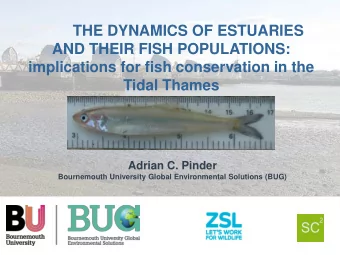 Tidal Thames  Adrian C. Pinder  Bournemouth University Global Environmental Solutions (BUG)