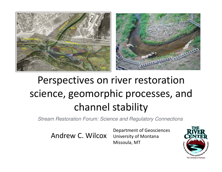perspectives on river restoration science geomorphic