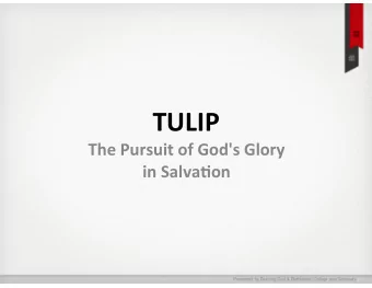 TULIP  The  Pursuit  of  God's  Glory