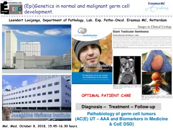 (Epi)Genetics in normal and malignant germ cell  development.  Leendert Looijenga, Department of