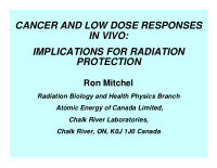 cancer and low dose responses in vivo implications for