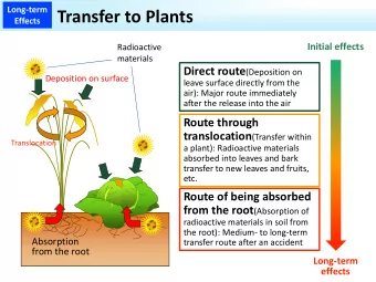 Transfer to Plants  Effects  Initial effects  Radioactive  materials Direct route (Deposition on