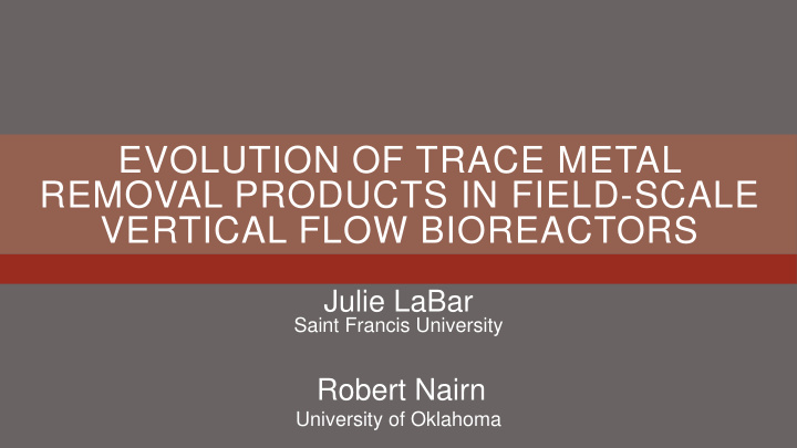 evolution of trace metal removal products in field scale