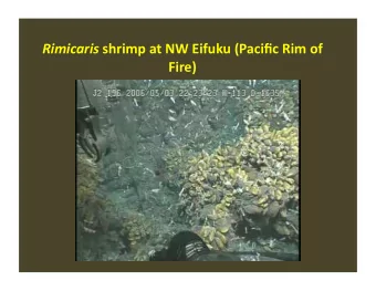 Rimicaris shrimp at NW Eifuku (Pacific Rim of Fire) Shrimp ( Cypridina hilgendorfii ) uses