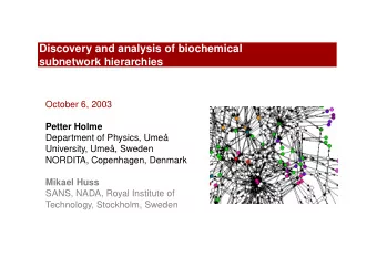 Discovery and analysis of biochemical  subnetwork hierarchies  October 6, 2003  Petter Holme