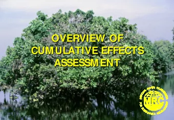 OVERVIEW OF  OVERVIEW OF  CUMULATIVE EFFECTS  CUMULATIVE EFFECTS  ASSESSMENT  ASSESSMENT  What is