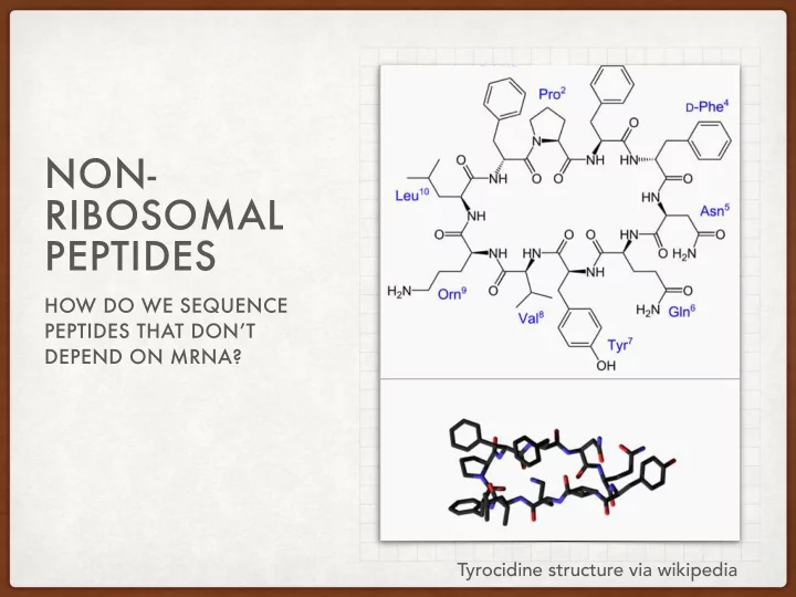 non ribosomal peptides