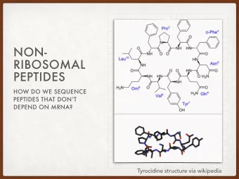 NON-  RIBOSOMAL  PEPTIDES  HOW DO WE SEQUENCE  PEPTIDES THAT DONT  DEPEND ON MRNA?  Tyrocidine