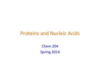 Proteins  and  Nucleic  Acids    Chem  204    Spring  2014    Proteins