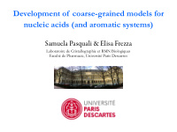 development of coarse grained models for nucleic acids