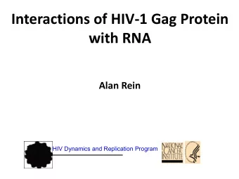 Interactions of HIV-1 Gag Protein  with RNA  Alan Rein  HIV Dynamics and Replication Program  Some