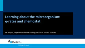 Learning  about  the  microorganism:      q-rates  and  chemostat