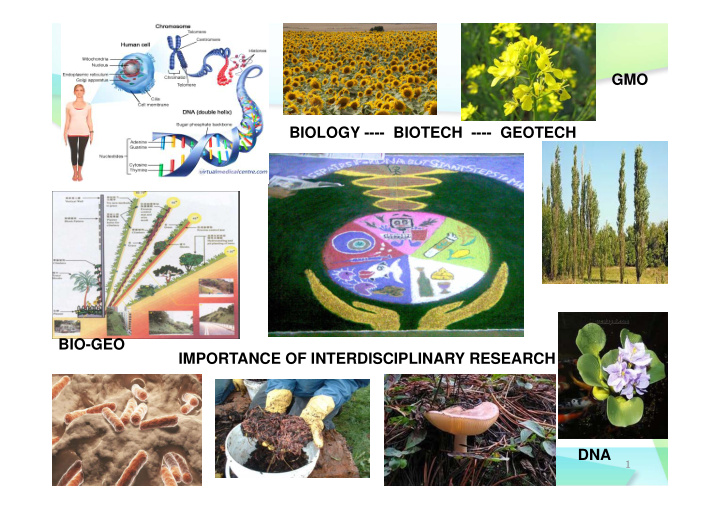 gmo biology biotech geotech bio geo importance of