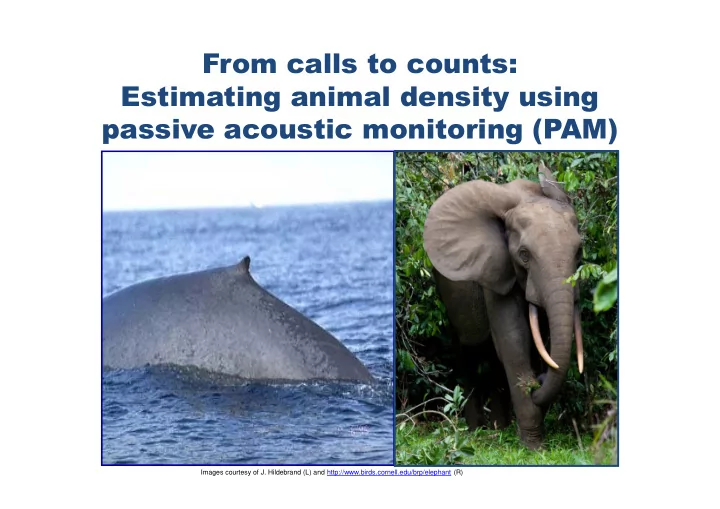 from calls to counts estimating animal density using