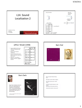 L14. Sound  Detector  +  Localization 2  -  delay  r  (  )  f  (  t  )  h  (  )  dt  Jeffress Model